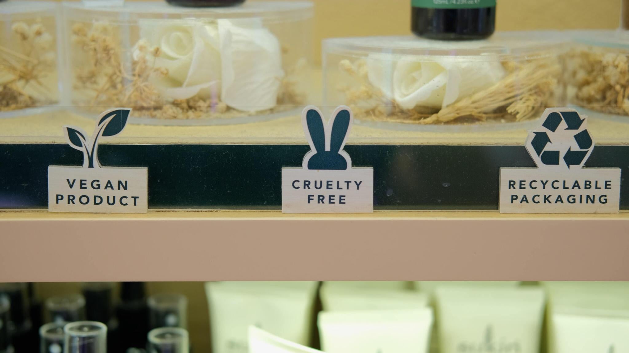Ethical Beauty: Understanding Vegan and Cruelty-Free Labels