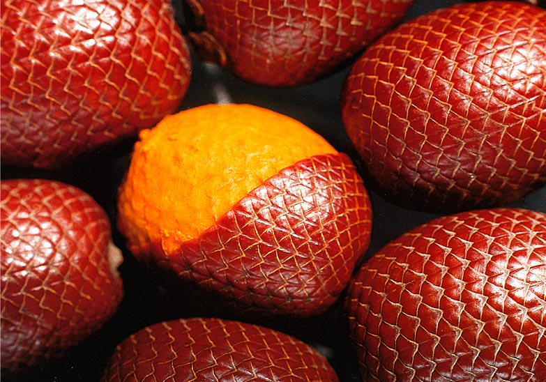 Why we fell in love with Buriti?
