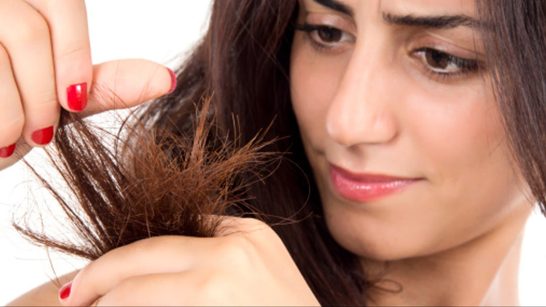 Key for Healthier Hair-Remedies for Split Ends